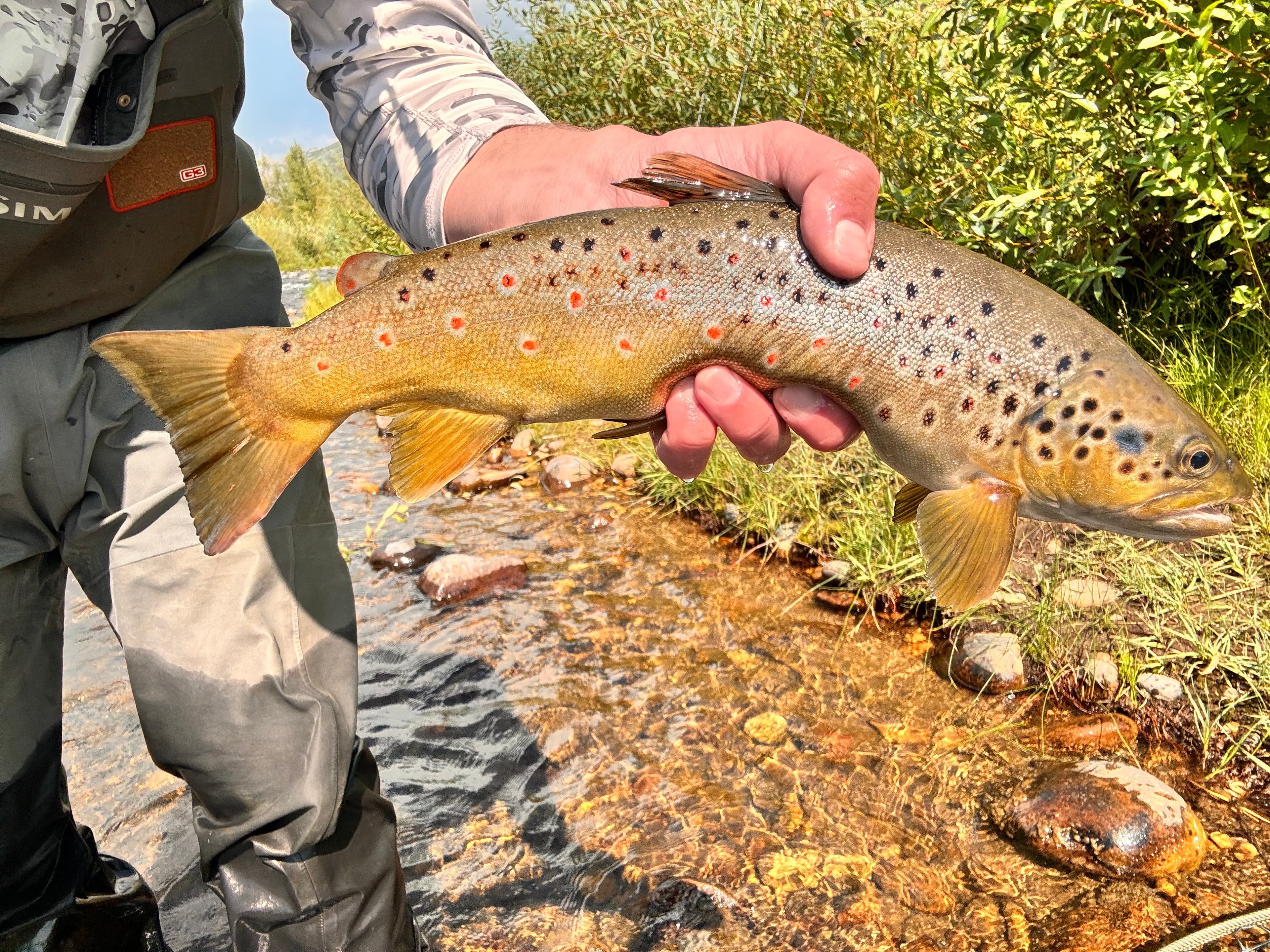 Hand-Tied Flies